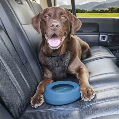 No Spill Dog Travel Bowl